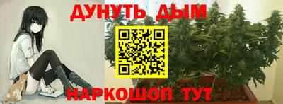 apvp Дубна