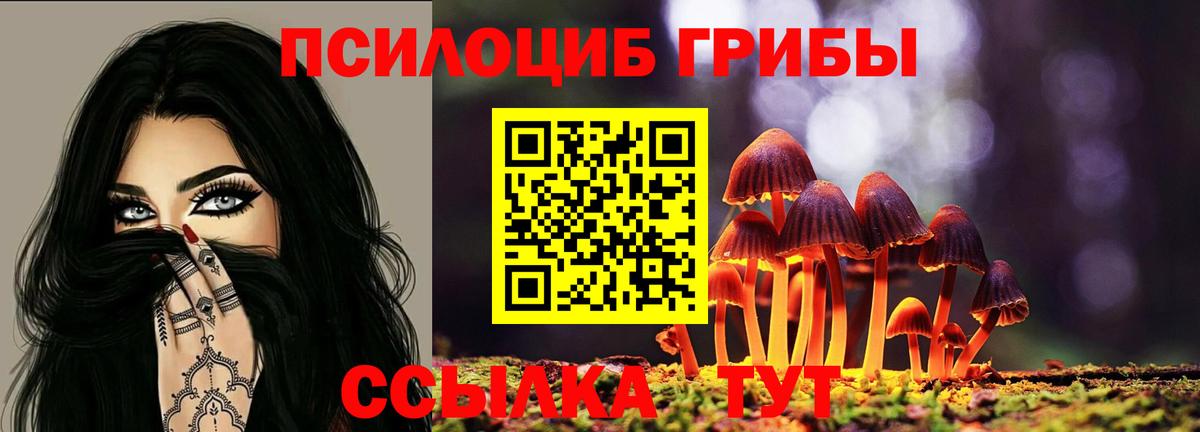 Псилоцибиновые грибы мухоморы  Псилоцибиновые грибы MAGIC MUSHROOMS  Вход с VPN  Кулебаки 